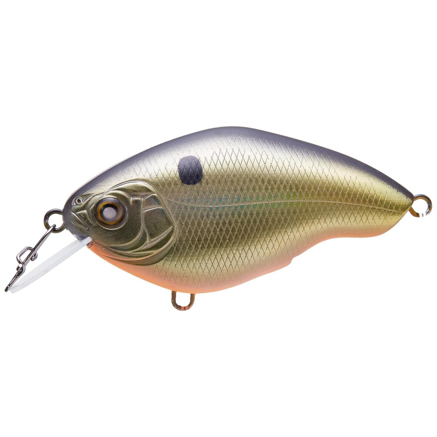 View of Crankbaits Nishine Lure Works Chippawa RB Crankbait Black Back Gold available at EZOKO Fishing