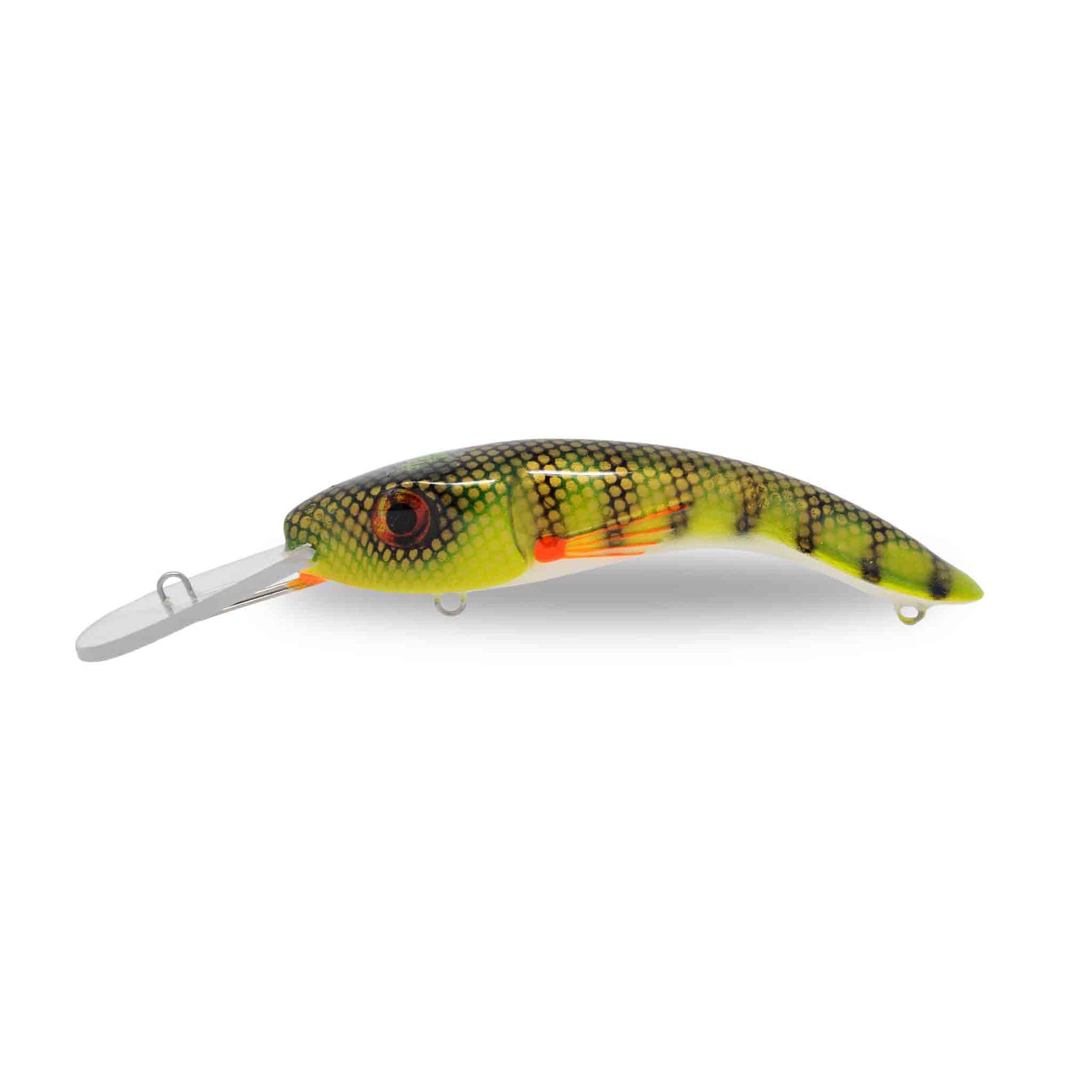 View of Crankbaits One Shot Tackle Perchosaurus 7" Crankbait Perch White Belly available at EZOKO Pike and Musky Shop
