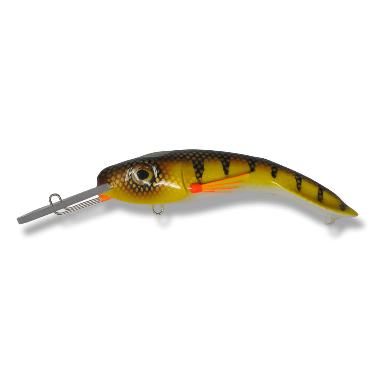 View of Crankbaits One Shot Tackle Perchosaurus 7" Crankbait St-Lawrence Perch White Belly available at EZOKO Fishing