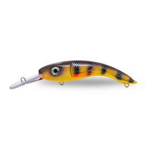 One Shot Tackle Perchosaurus 7'' St-Lawrence perch Yellow Belly Crankbaits