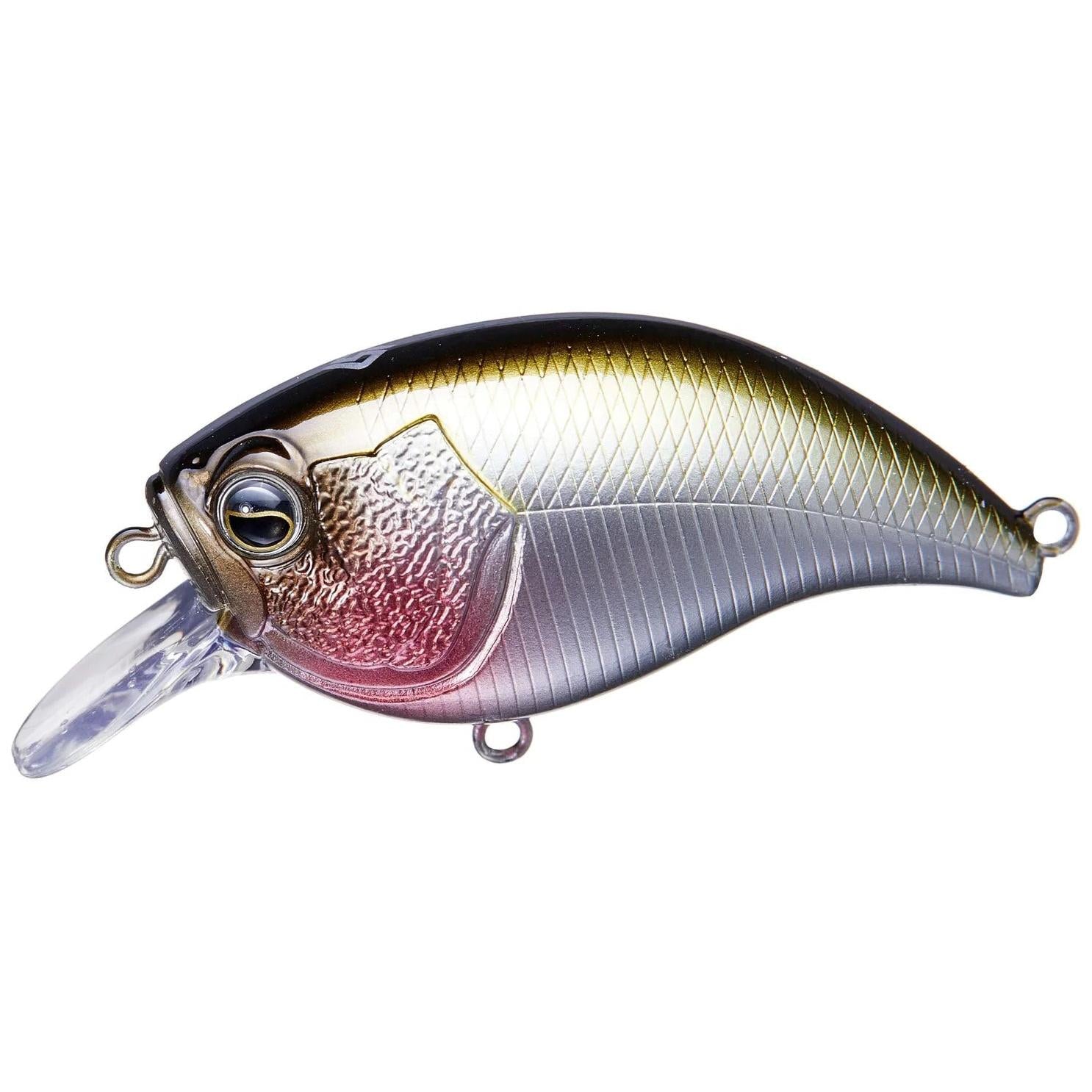View of RAID Japan Level Crank Bait Japan available at EZOKO Fishing