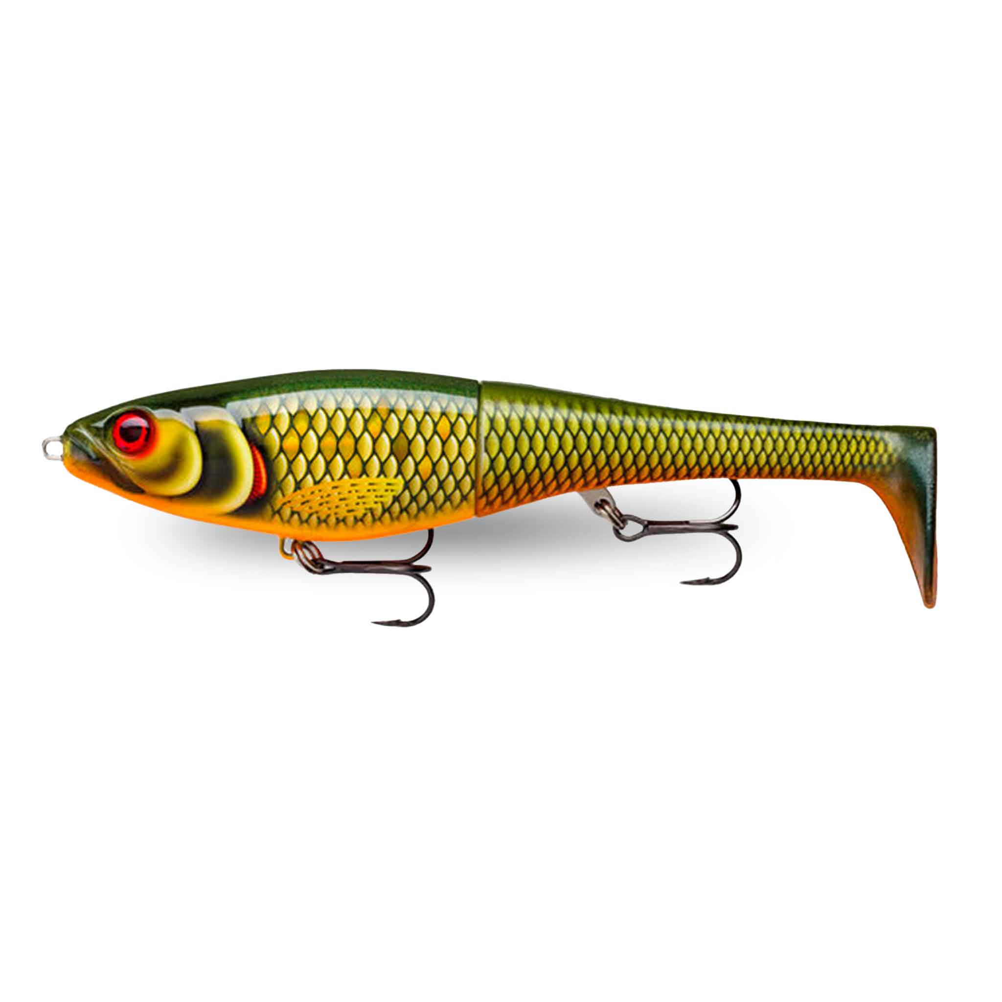View of Swimbaits Rapala X-Rap Peto 8" Swimbait Scaled Roach available at EZOKO Fishing