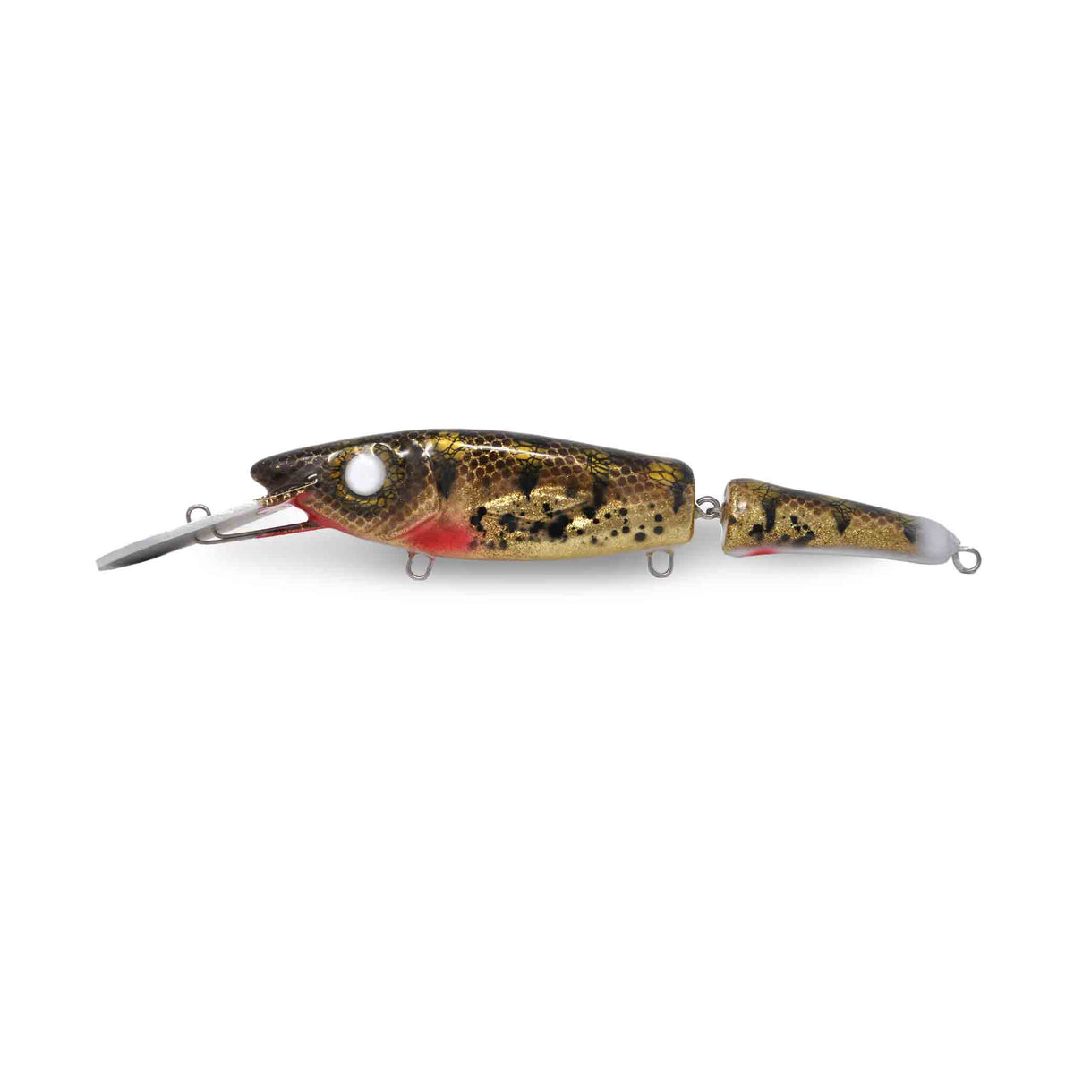 View of Crankbaits Scorpion MadBait Jointed 10'' Crankbait Walleye available at EZOKO Pike and Musky Shop