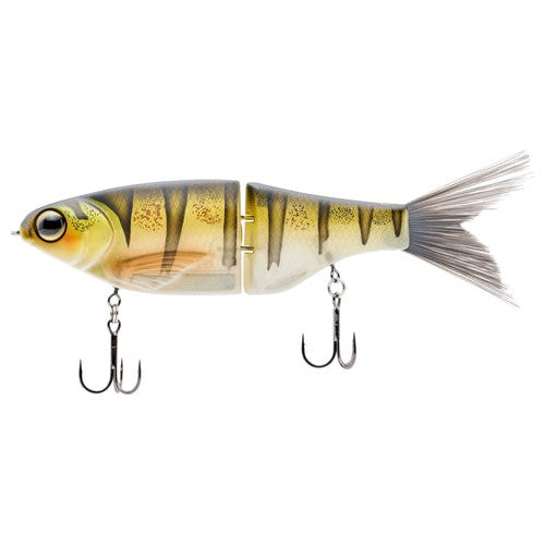View of Swimbaits SPRO KGB Chad Shad Swimbaits Ghost Perch available at EZOKO Pike and Musky Shop