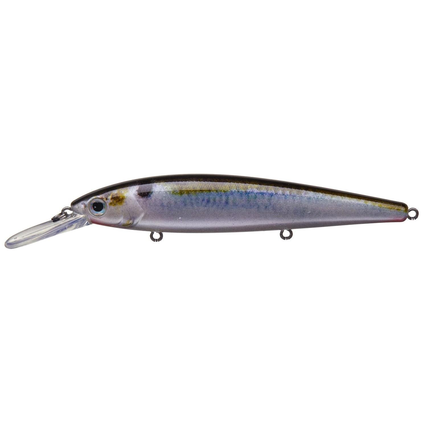 View of Jerkbait Strike King KVD Deep Jerkbait 300 Natural Shad available at EZOKO Fishing
