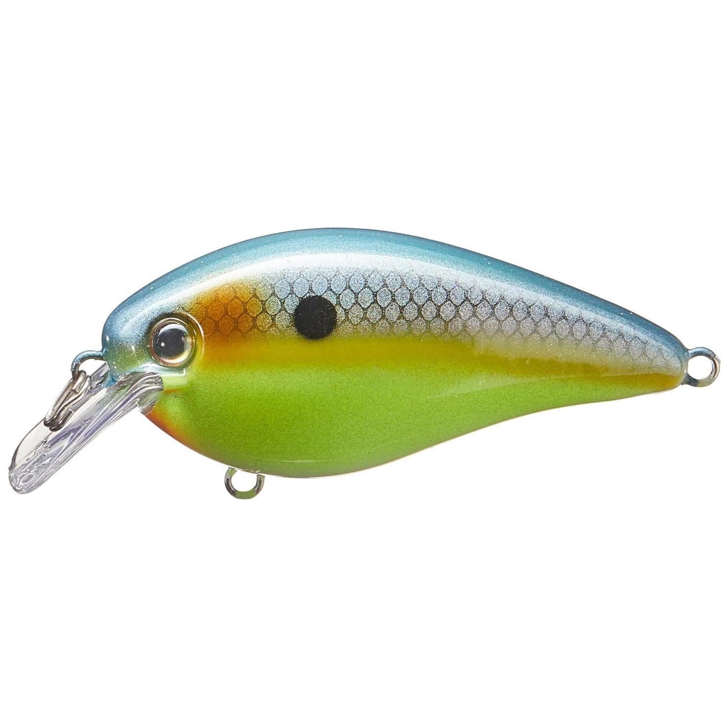 View of Squarebill Strike King KVD Elite 1.5 Chart Sexy Shad 2.0 available at EZOKO Fishing