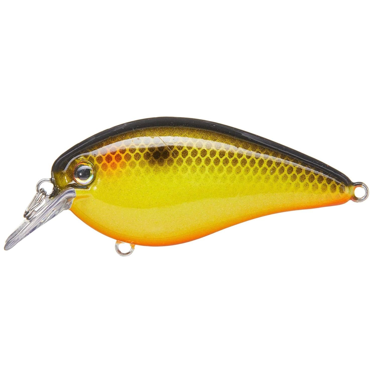 View of Squarebill Strike King KVD Elite 1.5 Fools Gold available at EZOKO Fishing