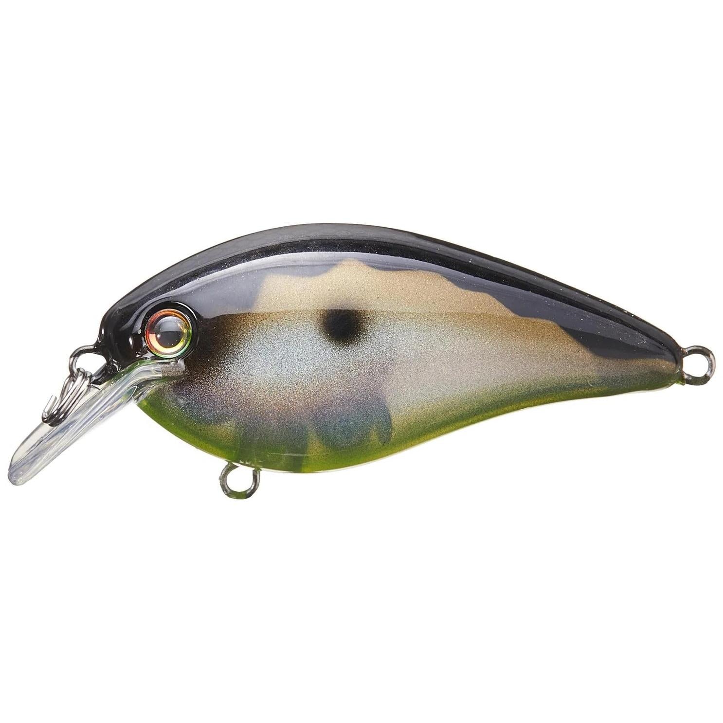 View of Squarebill Strike King KVD Elite 1.5 Mirage Gizzard Shad available at EZOKO Fishing
