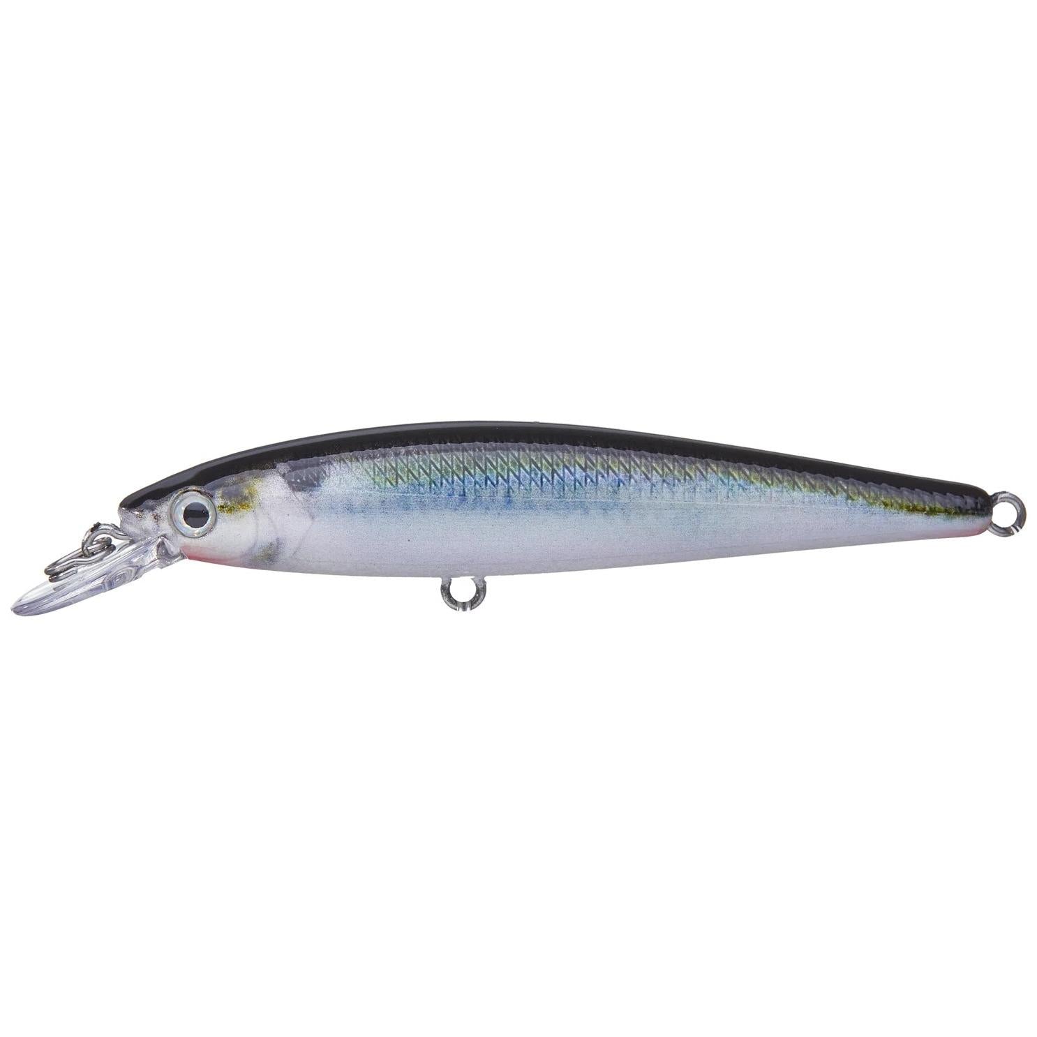 View of Jerkbait Strike King KVD Jerkbait 100 Natural Shad available at EZOKO Fishing