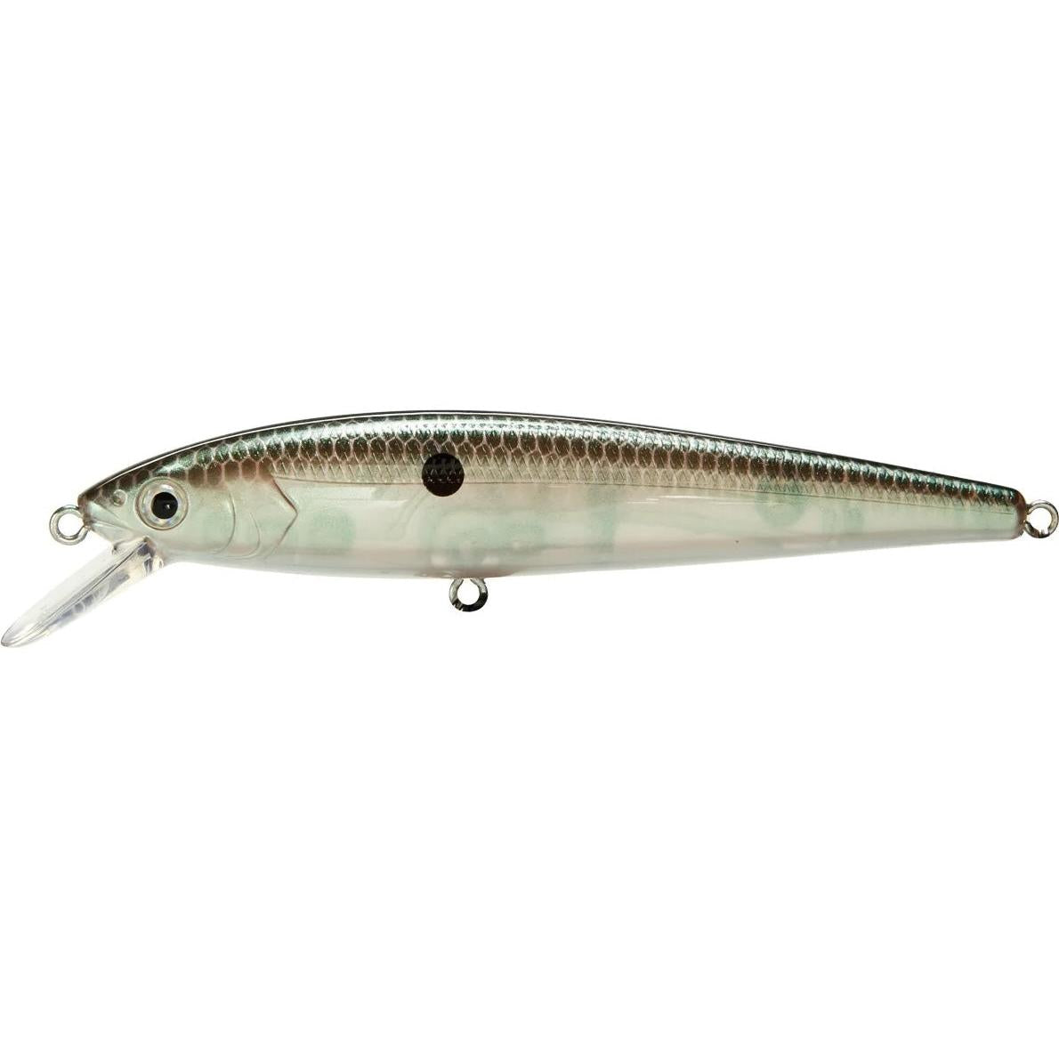 View of Jerkbait Strike King KVD Jerkbait 200 Green Gizzard Shad available at EZOKO Fishing