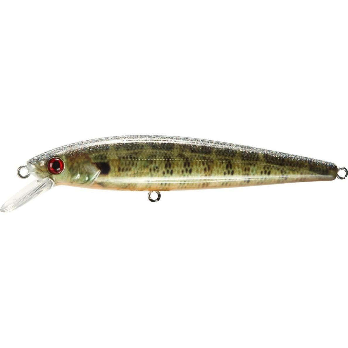 View of Jerkbait Strike King KVD Jerkbait 200 Natural Bream available at EZOKO Fishing
