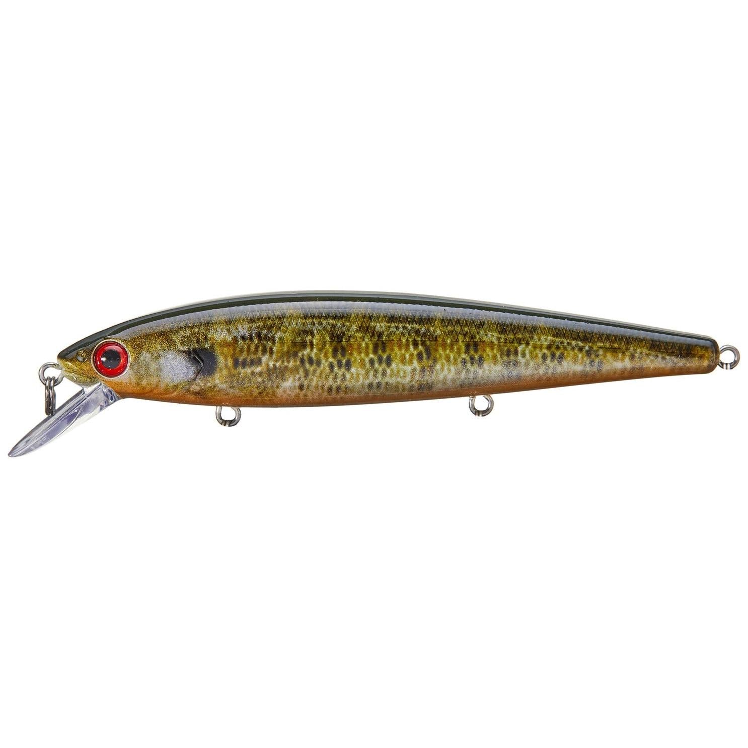View of Jerkbait Strike King KVD Jerkbait 300 Natural Bream available at EZOKO Fishing