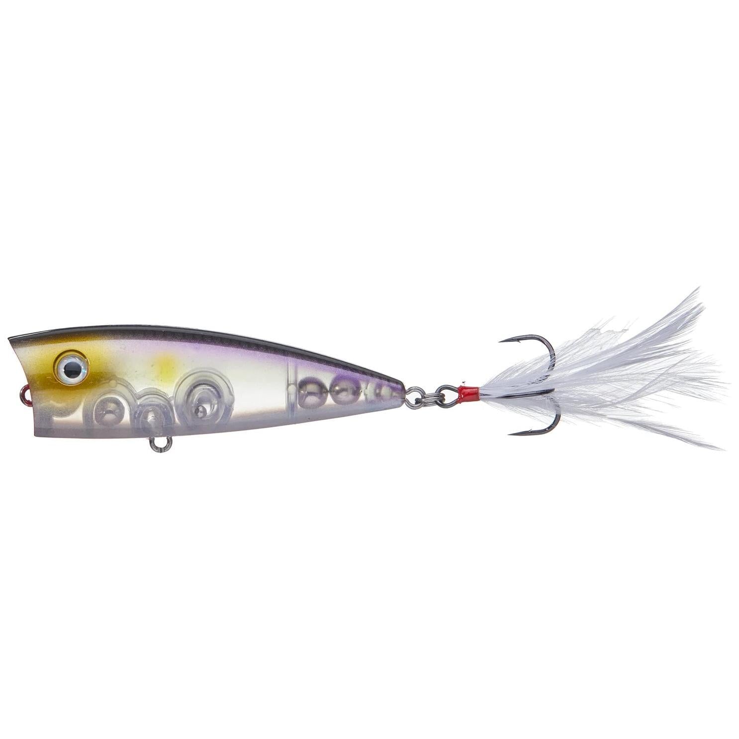 View of Topwater Strike King KVD Splash Jr. Clearwater Minnow available at EZOKO Fishing