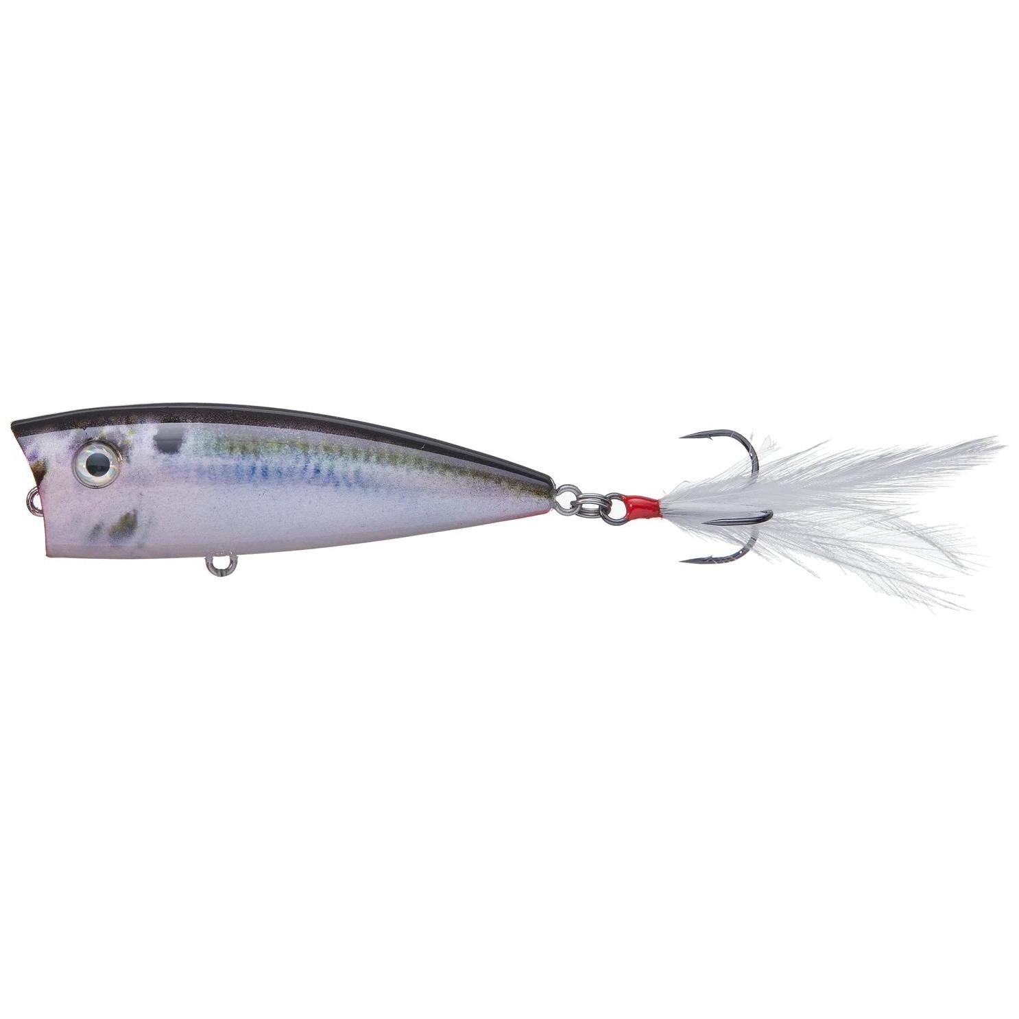 View of Topwater Strike King KVD Splash Jr. Natural Shad available at EZOKO Fishing
