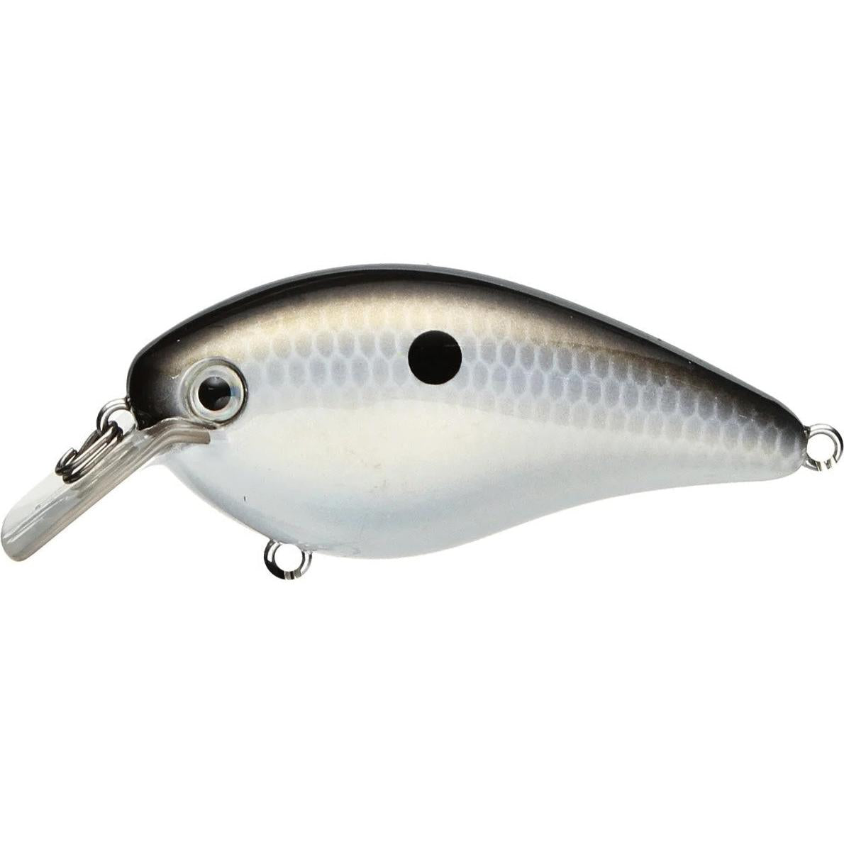 View of Squarebill Strike King KVD Square Bill 1.0 Gizzard Shad available at EZOKO Fishing