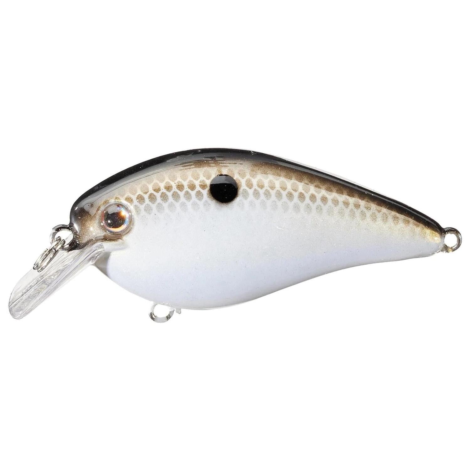 View of Squarebill Strike King KVD Square Bill 1.5 Gizzard Shad available at EZOKO Fishing