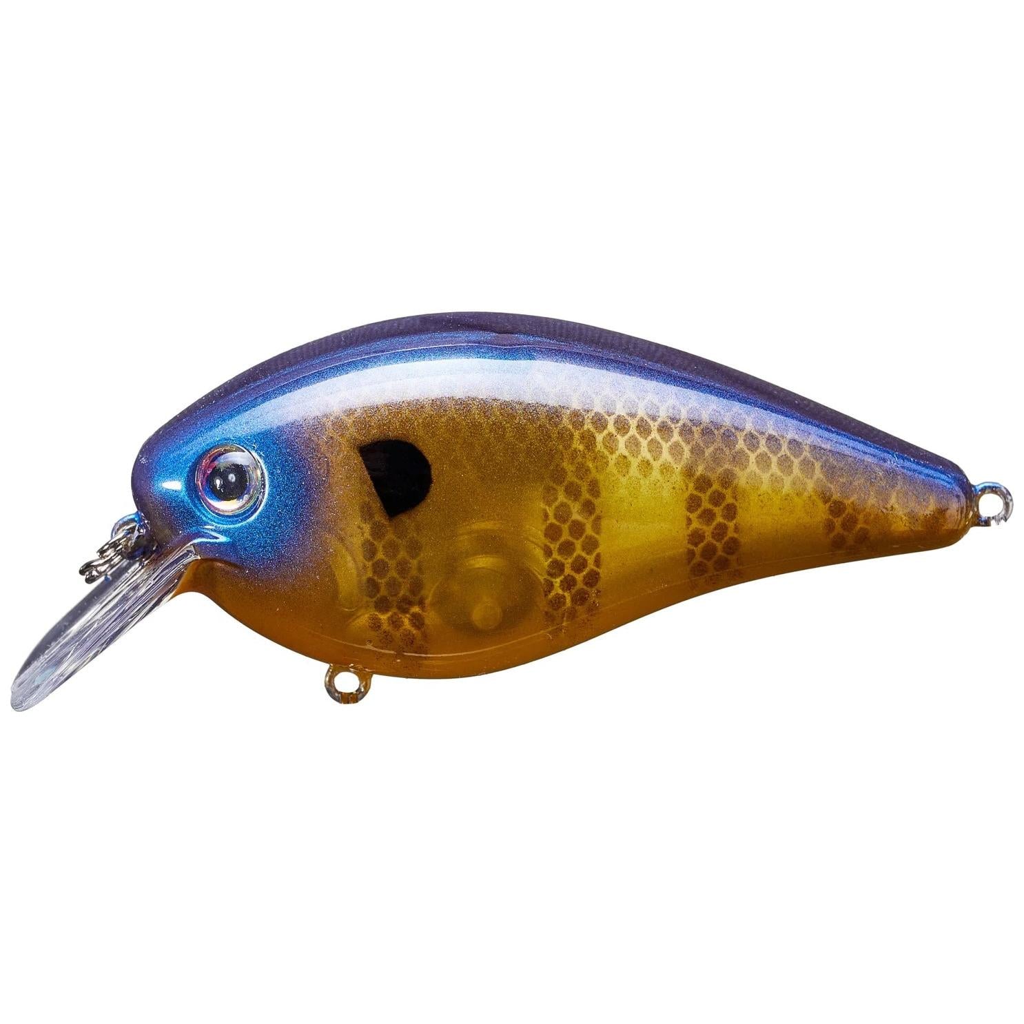 View of Squarebill Strike King KVD Square Bill 2.5 Bluegill available at EZOKO Fishing