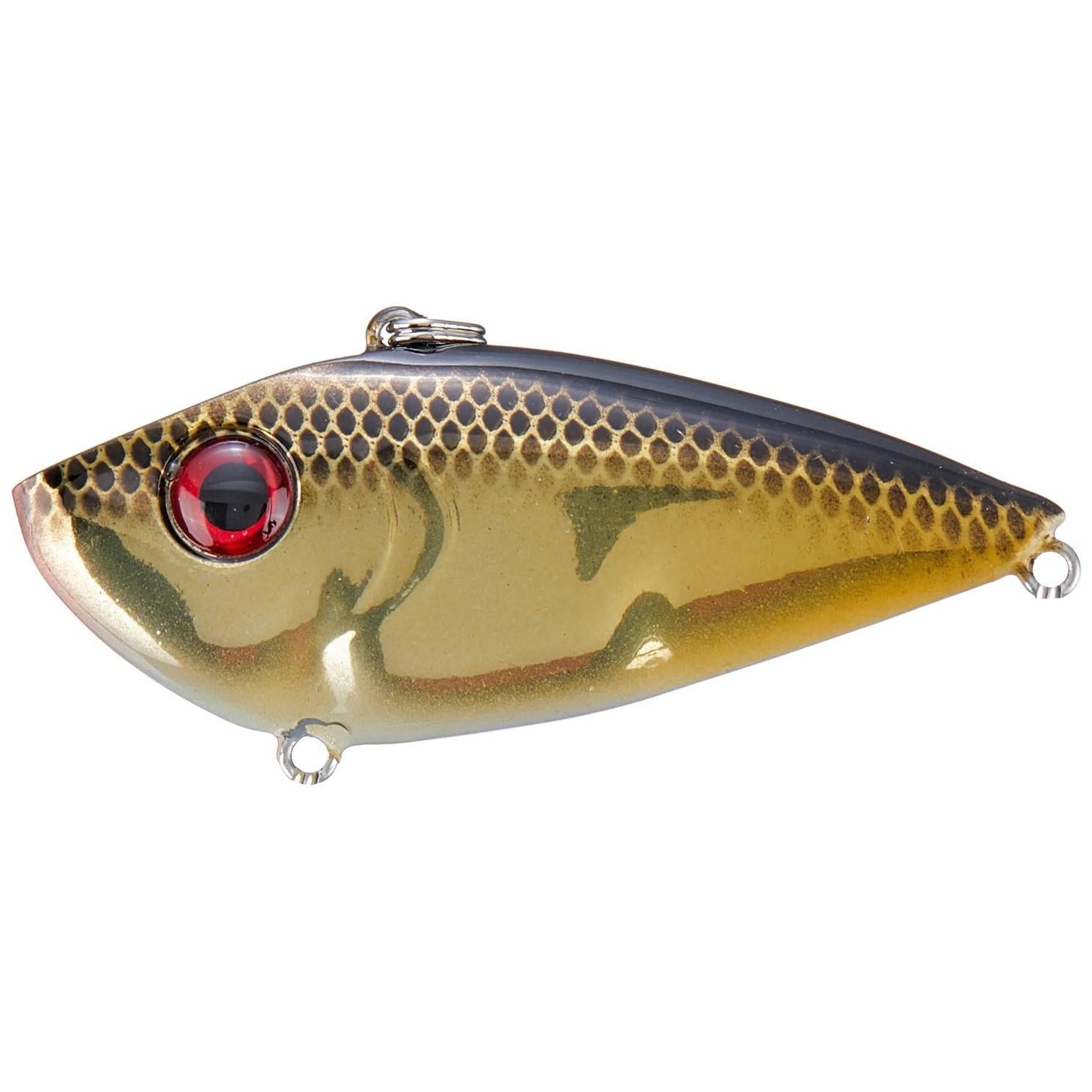 View of Lipless crankbait Strike King Red Eyed Shad 3/8 oz Gold Black Back available at EZOKO Fishing