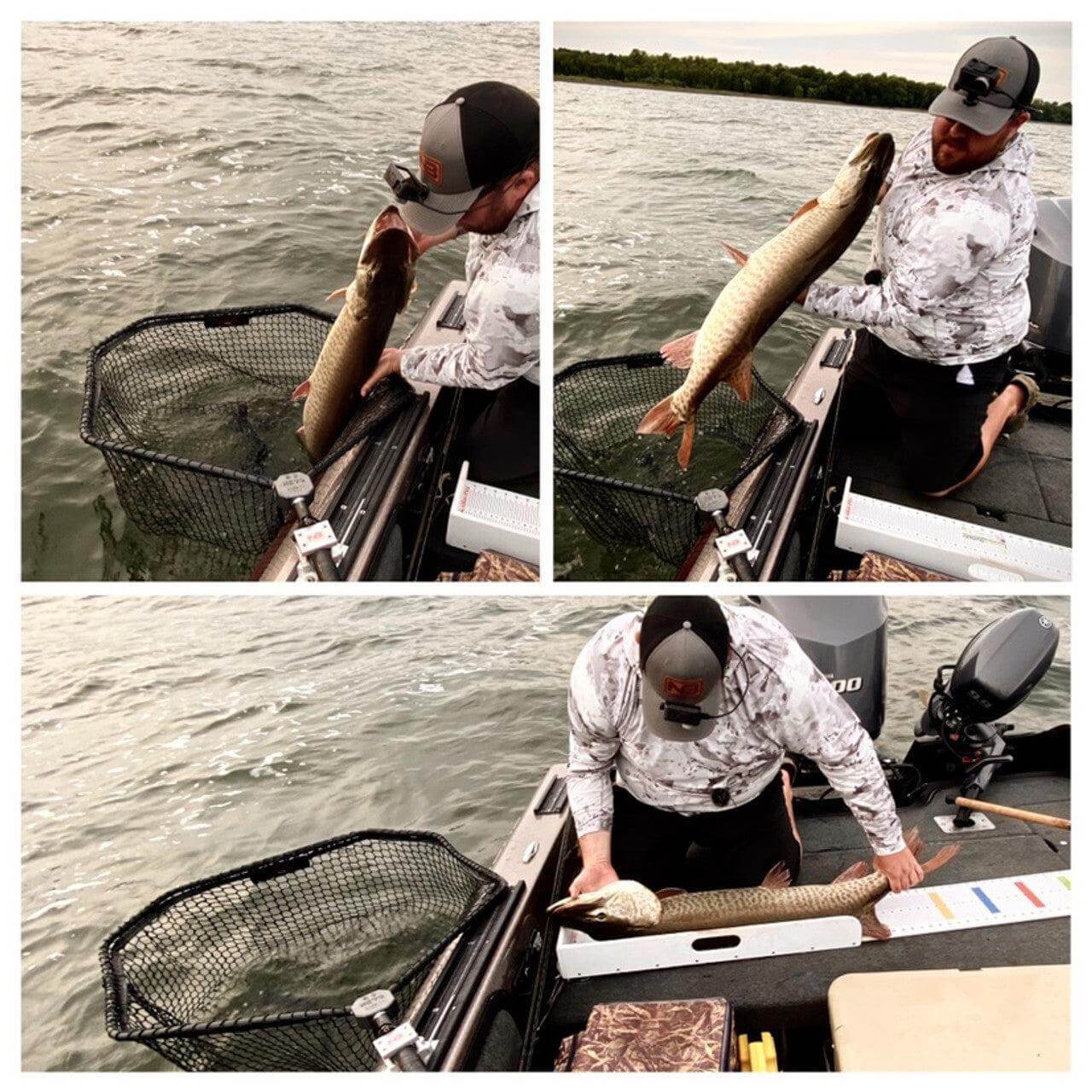 View of boat_accessories The Net Buddy Musky Buddy - Rail Mount Net Holder available at EZOKO Pike and Musky Shop