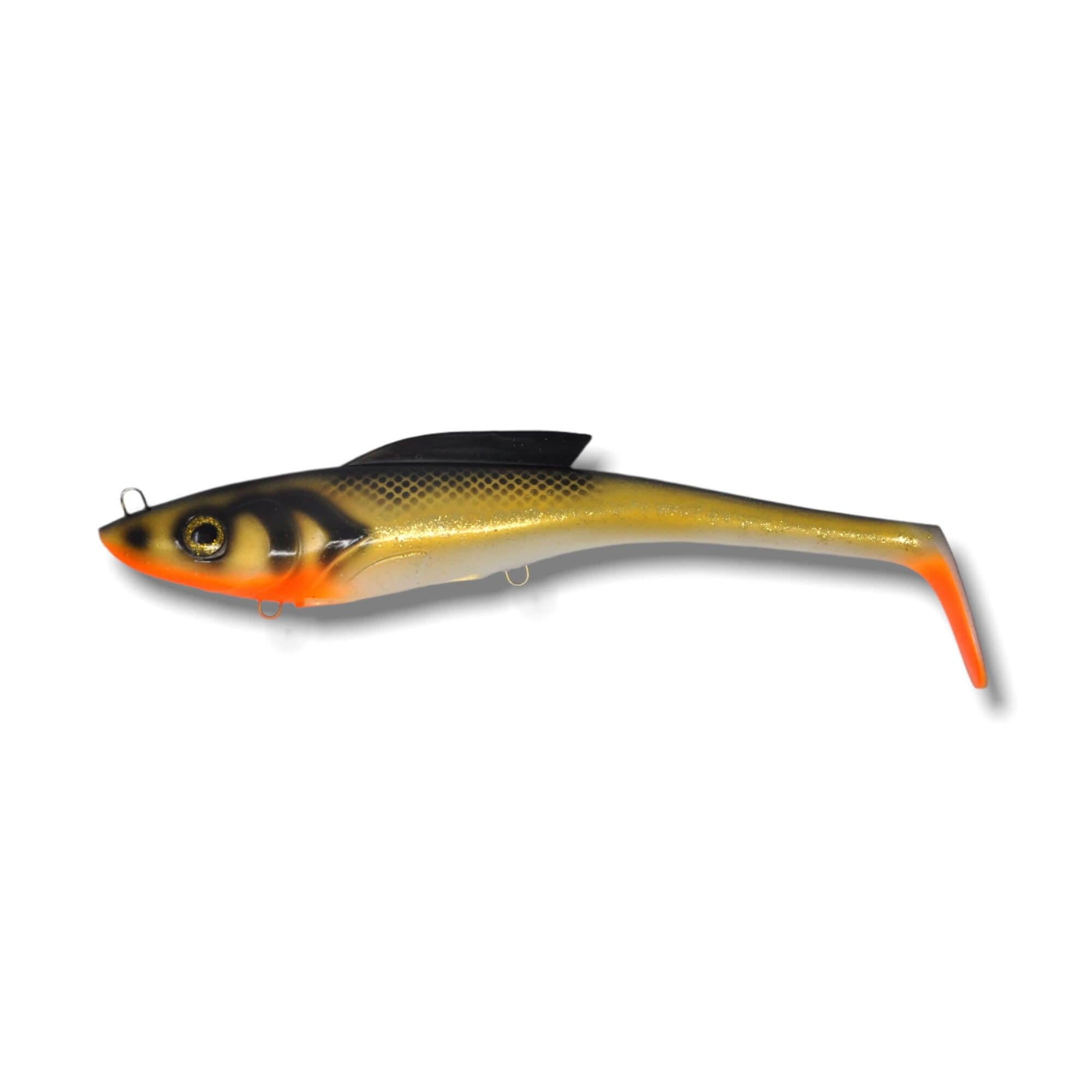 View of Swimbait Toddy Tickle Baits 14" Warhammer 2025 Show colors Golden Boy available at EZOKO Fishing