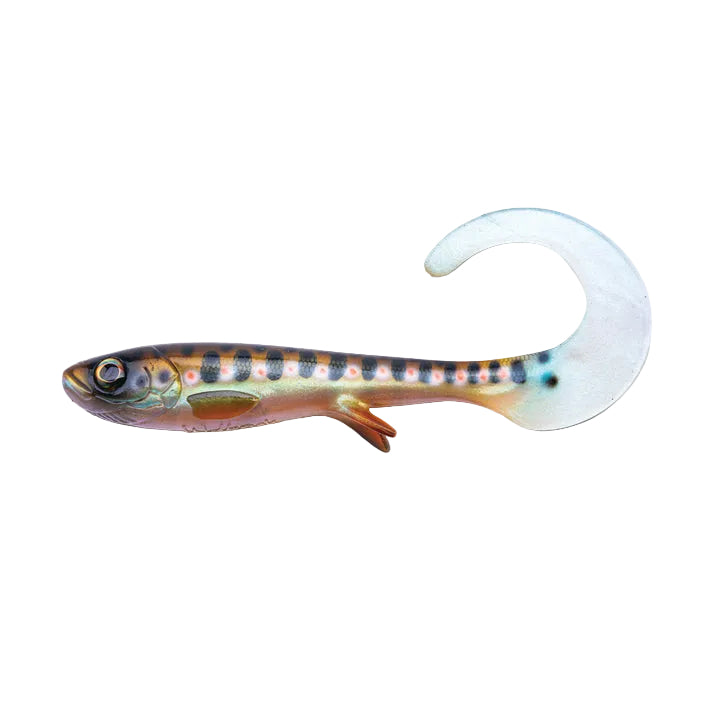 View of Wolfcreek Curly 22cm Swimbait available at EZOKO Fishing