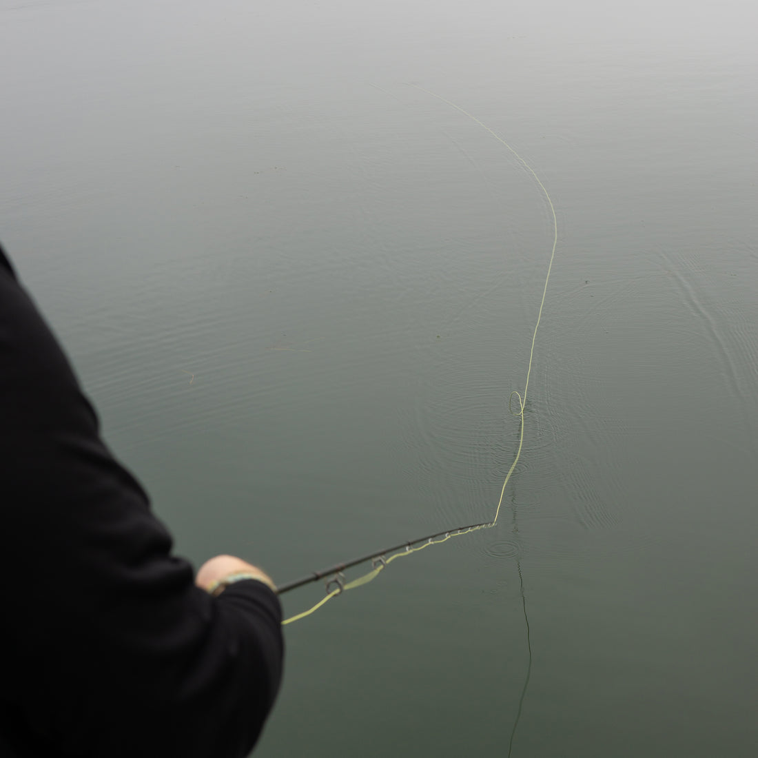 Cortland Pike Musky Float Fly Lines