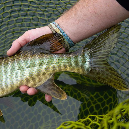 Cortland Pike Musky Sink 8 Fly Lines