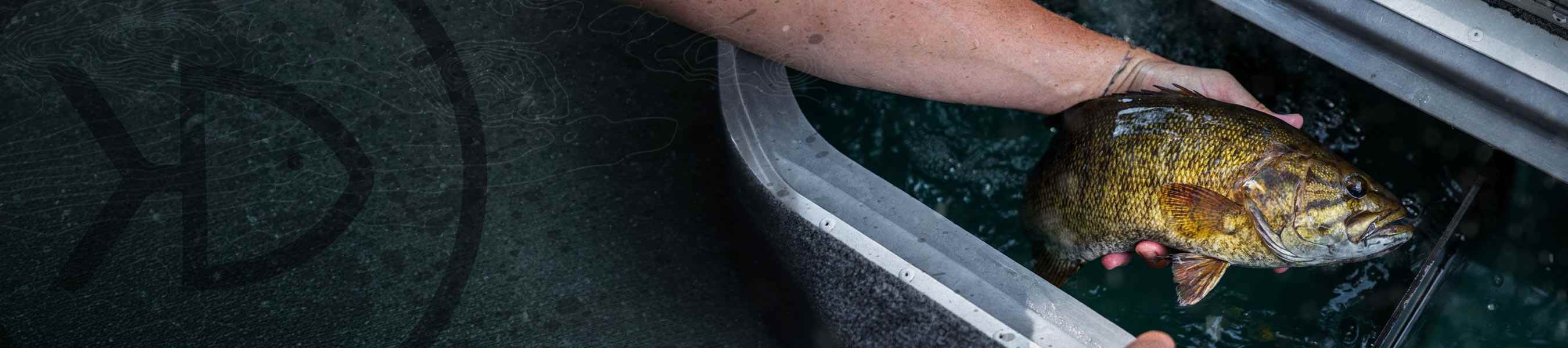 Livewell Treatments & Fish Care