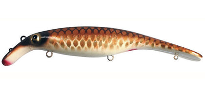 Carp