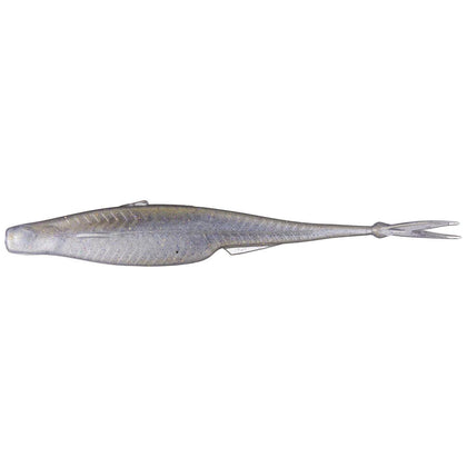 Gizzard Shad