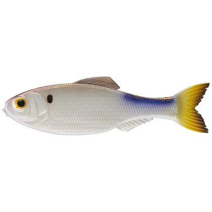 4K Shad