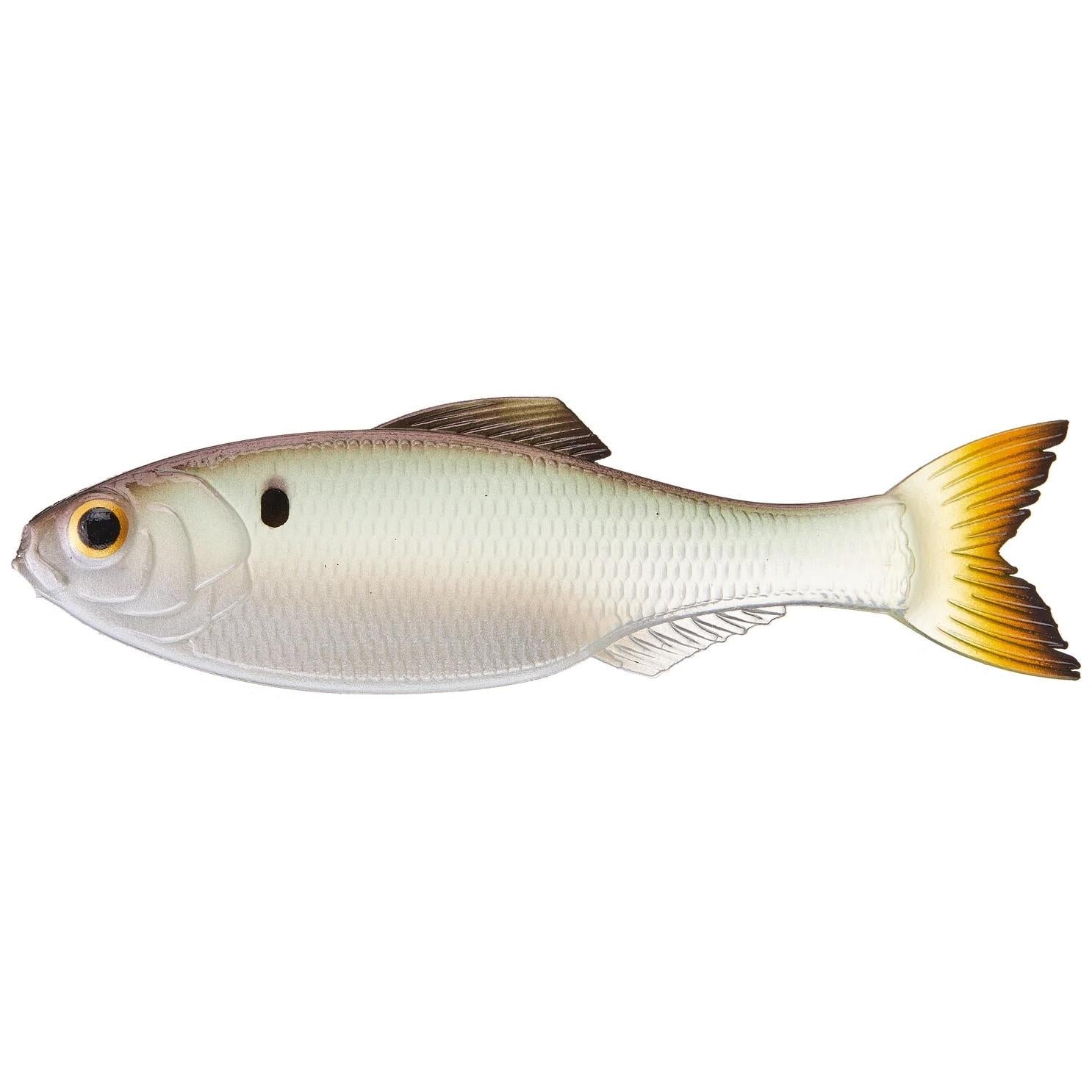 View of 6th Sense Panorama Minnow Bait 3.5in - 6pk Ghost Pro Shad available at EZOKO Fishing