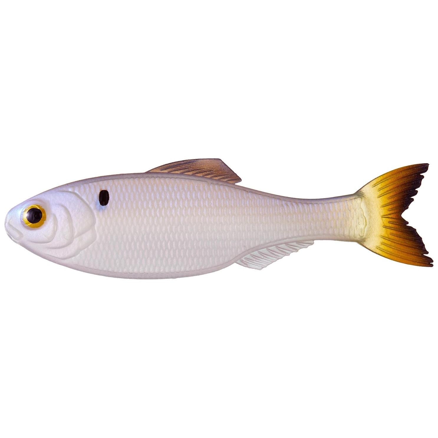 View of 6th Sense Panorama Minnow Bait 6.5in - 2pk Clearwater Shad available at EZOKO Fishing