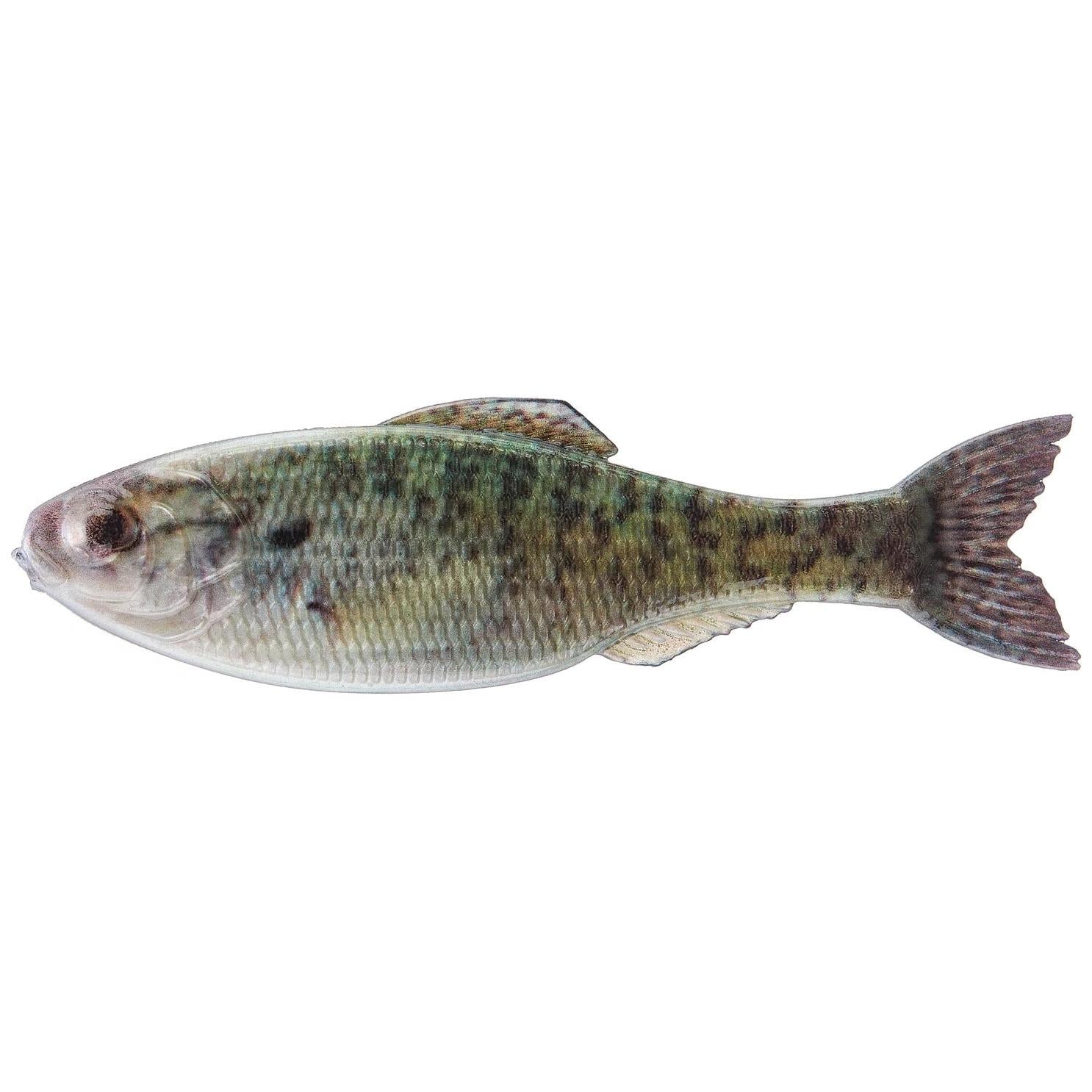 View of 6th Sense Panorama Minnow Bait 6.5in - 2pk Live Crappie available at EZOKO Fishing