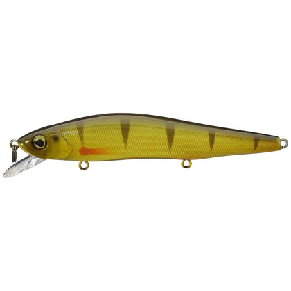 Yellow Perch