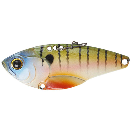 4K Bluegill
