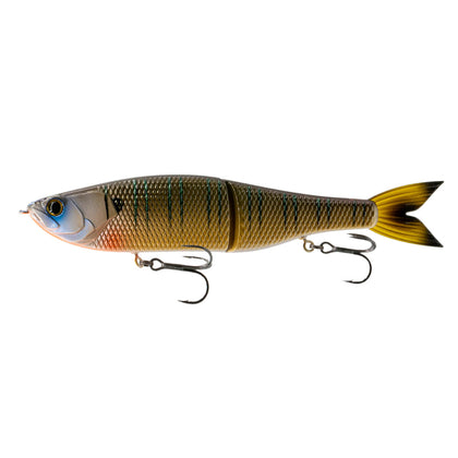 Live Bluegill