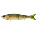 Cajun Gill / Fast Sink
