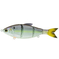 Wild Shad / Floating