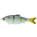 Wild Shad / Slow Sink