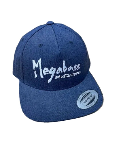 Brush Snapback - Navy/White