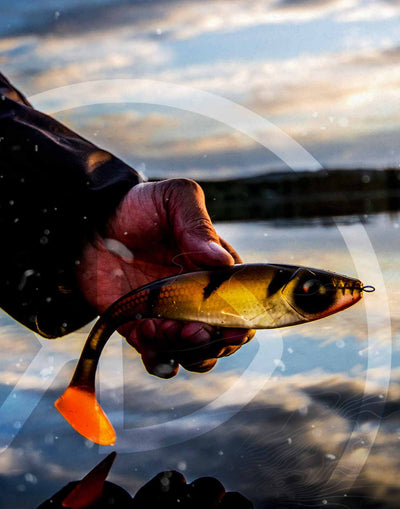EZOKO Fishing | Musky Pike Bass