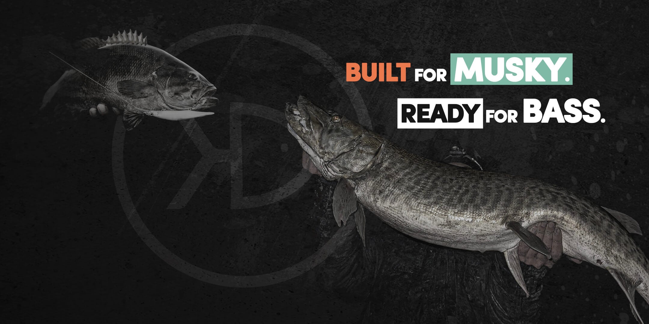 FullSlide-Ready4Bass-ezoko-