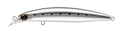 Sardine Glow Belly