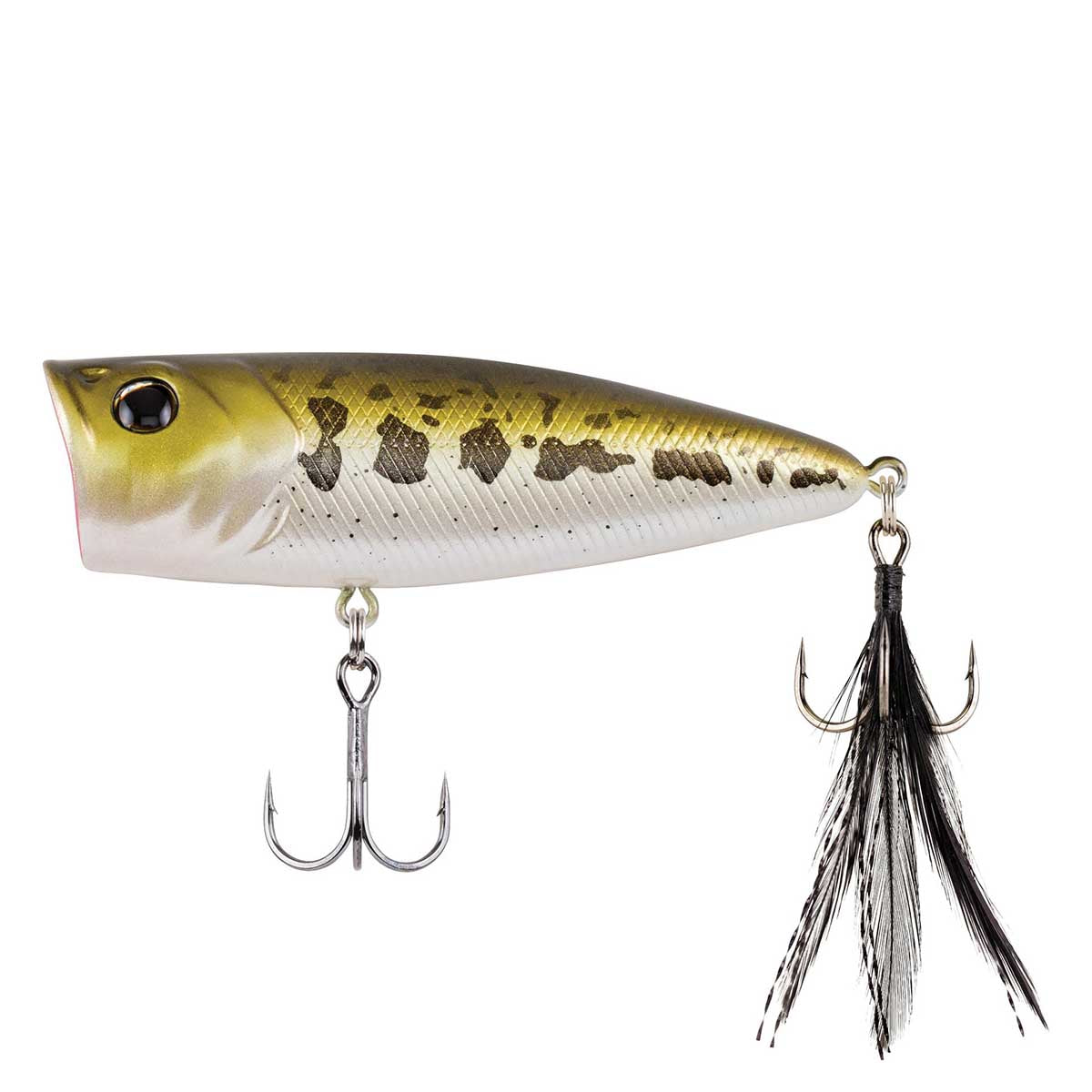 View of Popper Berkley Bullet Pop Popper 80mm Baby Bass available at EZOKO Fishing