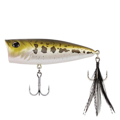 Baby Bass