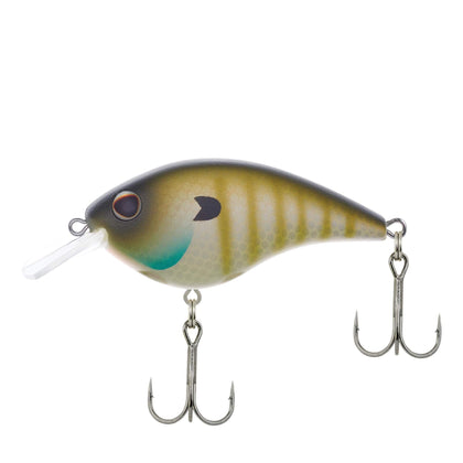 MF Bluegill