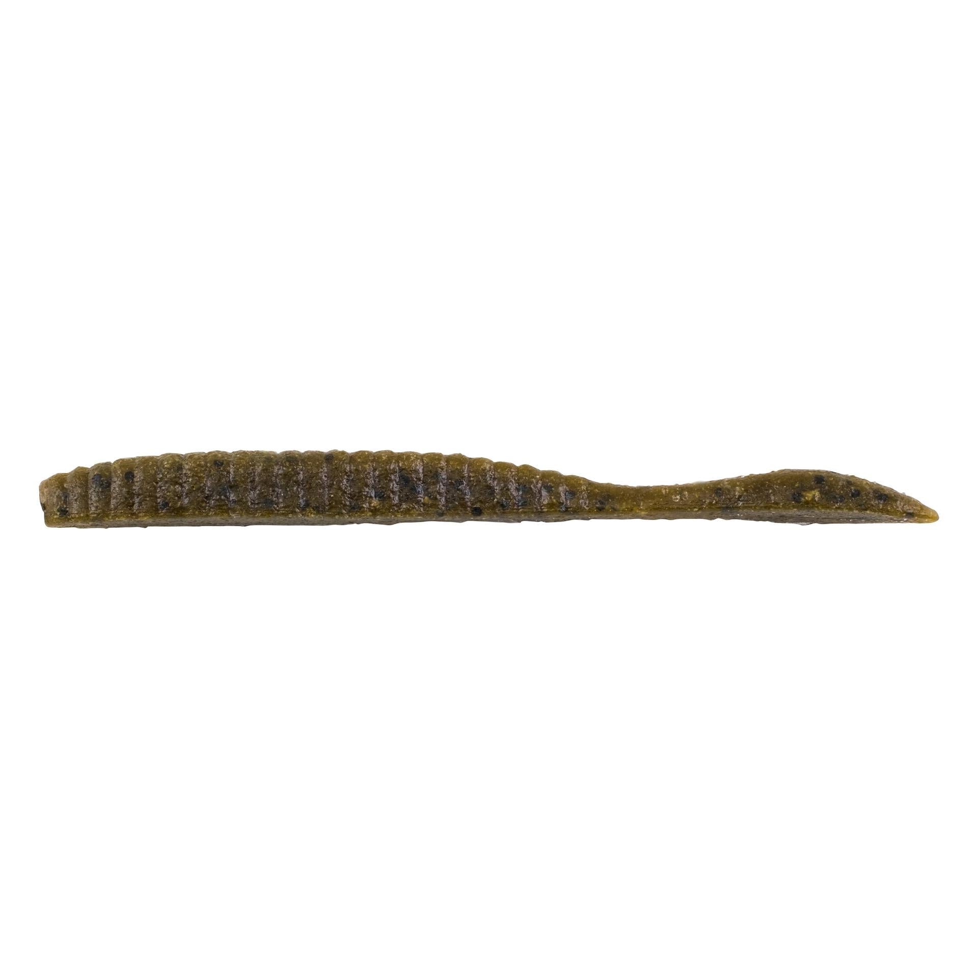 View of Worms Berkley PowerBait MaxScent Flat Worm 3.6 in Green Pumpkin available at EZOKO Fishing