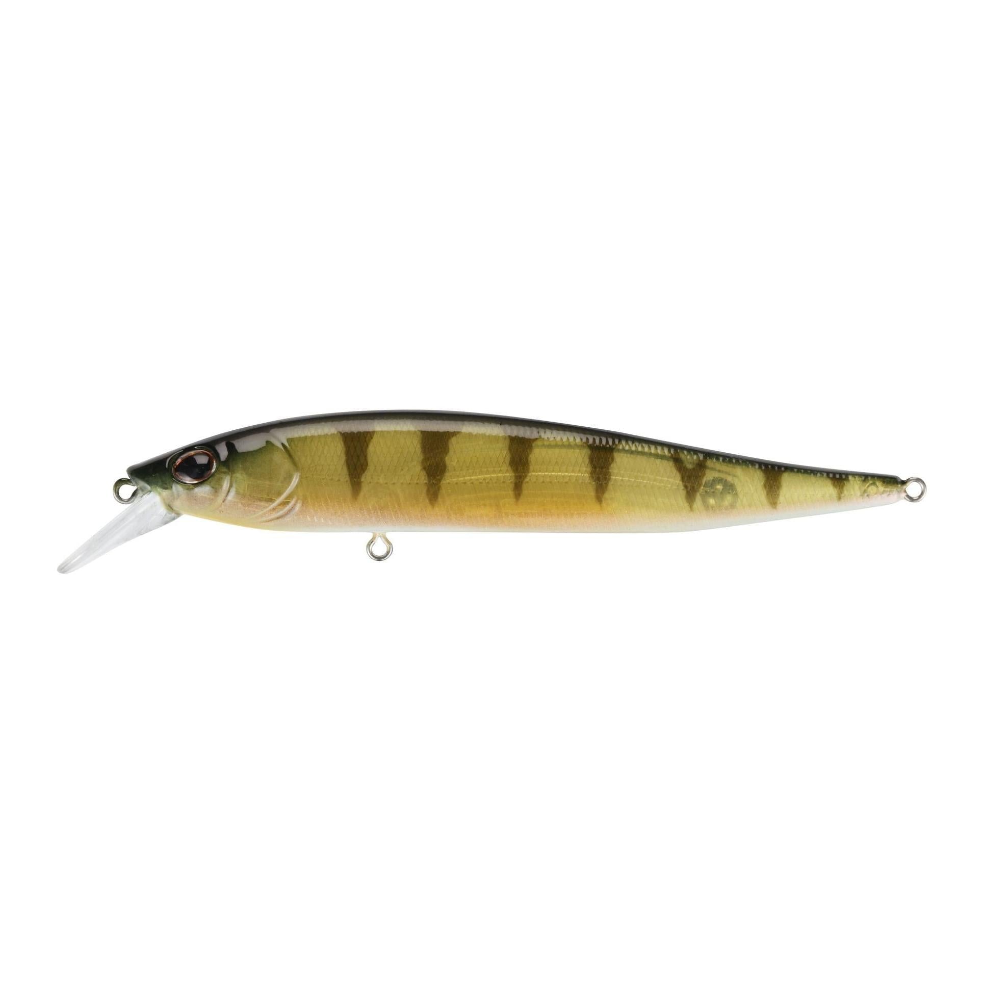 View of Jerkbait Berkley Stunna 100 Jerkbait Perch available at EZOKO Fishing