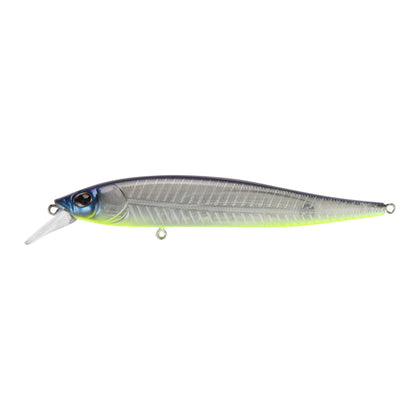Shad Fillet
